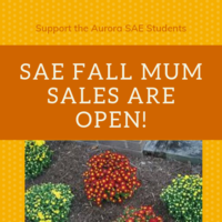 SAE Fall Mum Sales Open